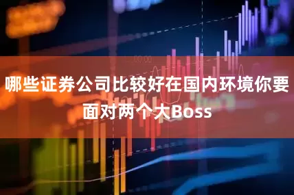 哪些证券公司比较好在国内环境你要面对两个大Boss